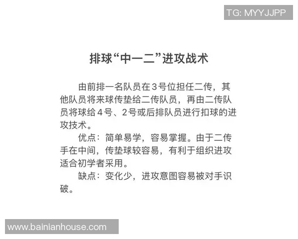 排球新手必看：快速掌握技巧与战术的全面入门指南